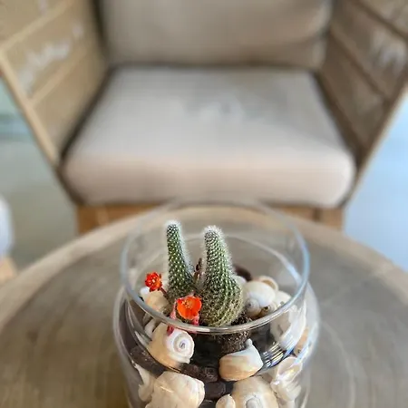 게스트하우스 El Trebol Bar & Only Adults *